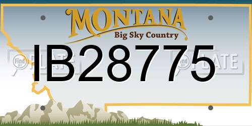 IB28775 Montana License Plate