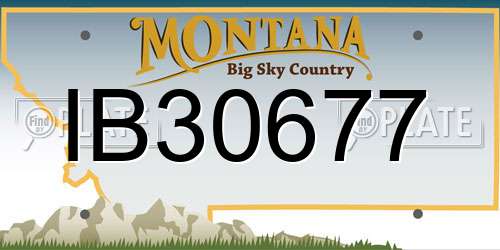 IB30677 Montana License Plate