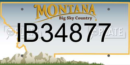 IB34877 Montana License Plate
