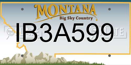 IB3A599 Montana License Plate