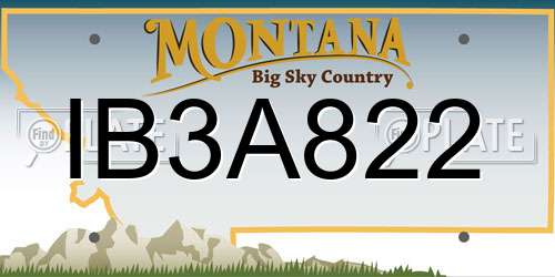 IB3A822 Montana License Plate