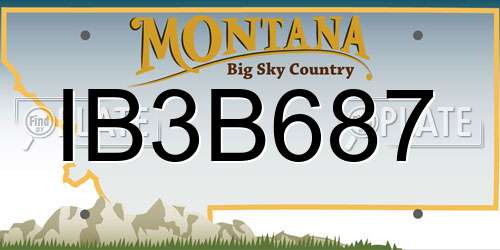 IB3B687 Montana License Plate