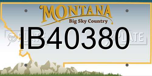 IB40380 Montana License Plate