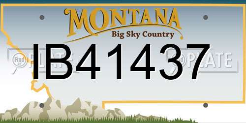 IB41437 Montana License Plate
