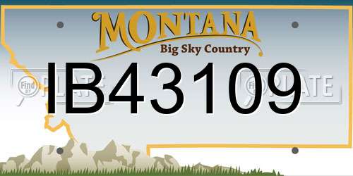 IB43109 Montana License Plate
