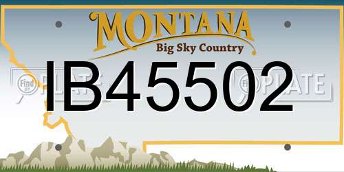 IB45502 Montana License Plate
