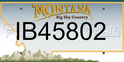 IB45802 Montana License Plate