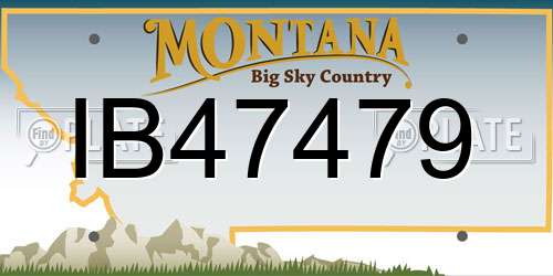 IB47479 Montana License Plate