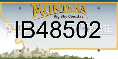 IB48502 Montana License Plate