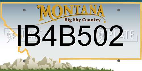 IB4B502 Montana License Plate