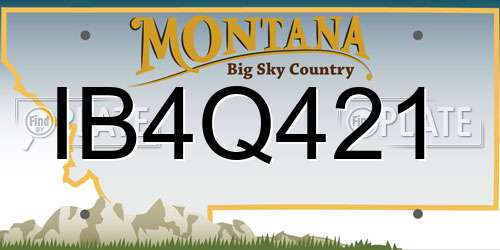IB4Q421 Montana License Plate