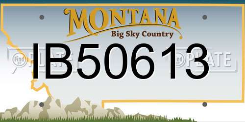 IB50613 Montana License Plate