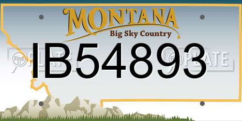 IB54893 Montana License Plate