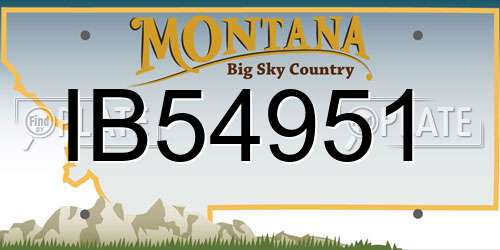 IB54951 Montana License Plate
