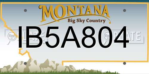 IB5A804 Montana License Plate