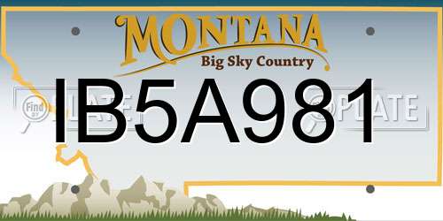 IB5A981 Montana License Plate