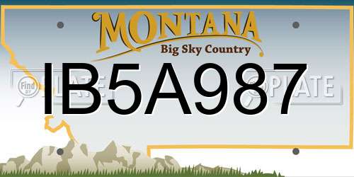 IB5A987 Montana License Plate