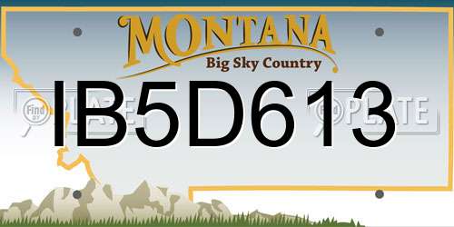 IB5D613 Montana License Plate