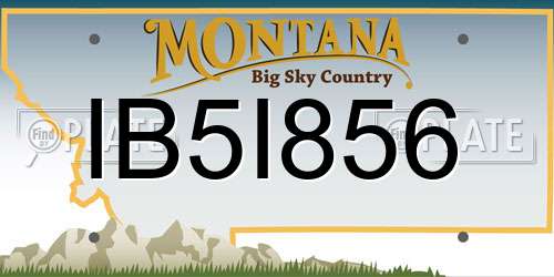 IB5I856 Montana License Plate