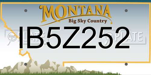 IB5Z252 Montana License Plate