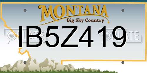 IB5Z419 Montana License Plate
