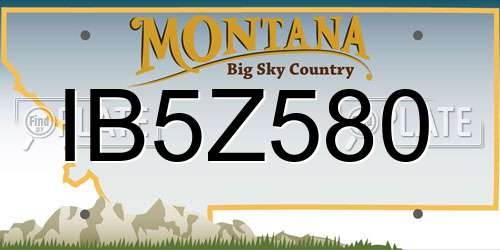 IB5Z580 Montana License Plate