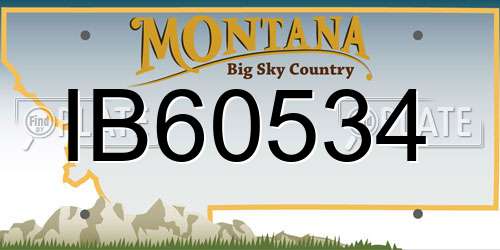 IB60534 Montana License Plate