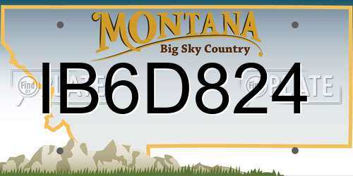 IB6D824 Montana License Plate