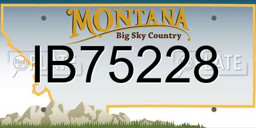 IB75228 Montana License Plate