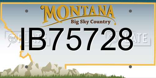 IB75728 Montana License Plate