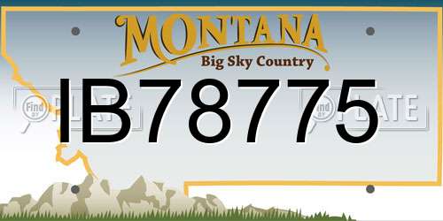 IB78775 Montana License Plate