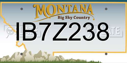 IB7Z238 Montana License Plate