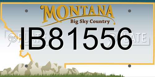 IB81556 Montana License Plate