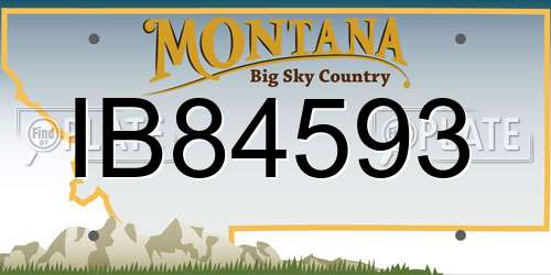 IB84593 Montana License Plate