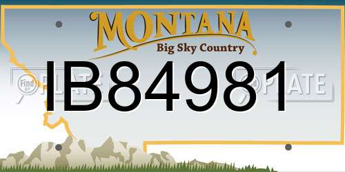 IB84981 Montana License Plate