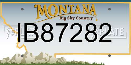 IB87282 Montana License Plate
