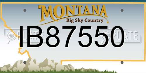 IB87550 Montana License Plate