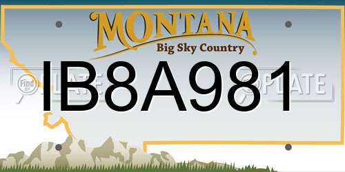 IB8A981 Montana License Plate