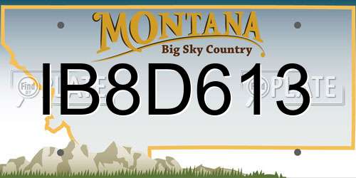 IB8D613 Montana License Plate