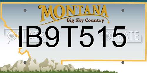 IB9T515 Montana License Plate