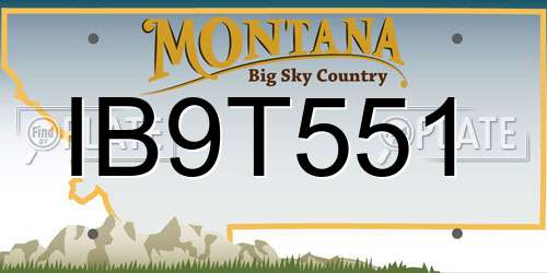 IB9T551 Montana License Plate