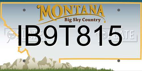 IB9T815 Montana License Plate