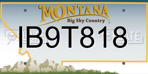 IB9T818 Montana License Plate