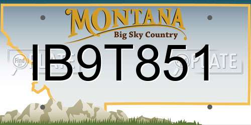 IB9T851 Montana License Plate