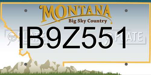 IB9Z551 Montana License Plate