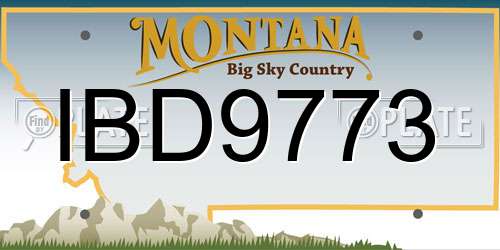 IBD9773 Montana License Plate
