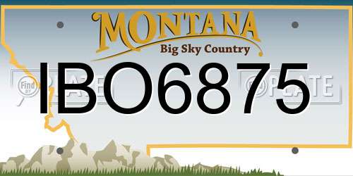 IBO6875 Montana License Plate