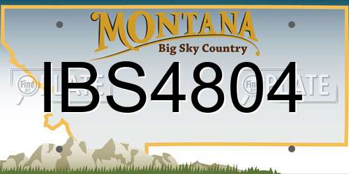 IBS4804 Montana License Plate