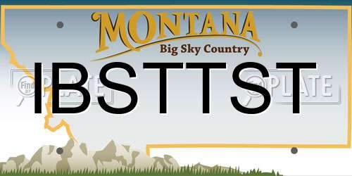 IBSTTST Montana License Plate