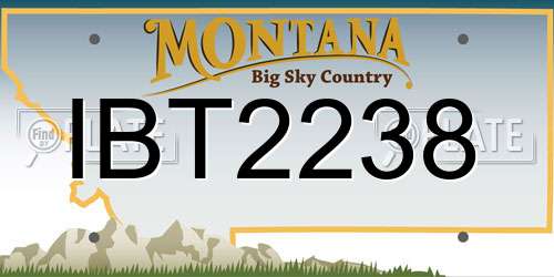 IBT2238 Montana License Plate